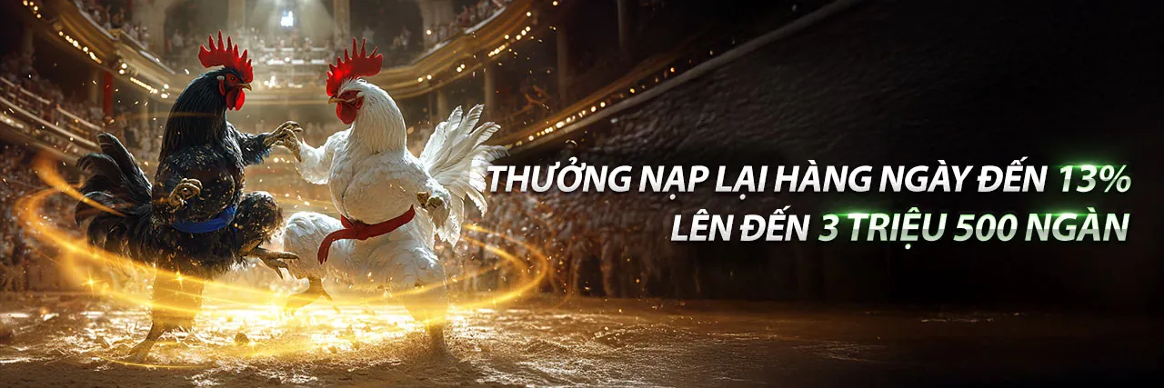 Đá Gà nw88 - Sân đấu trực tuyến kịch tính